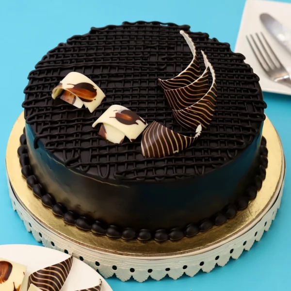 Rich Chocolate Splash Cake